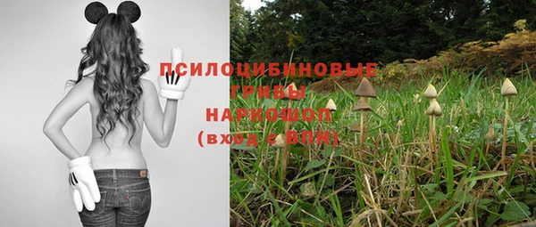 героин Заводоуковск