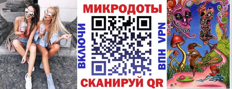 Купить закладки  Каменка  Галлюциногенные грибы мицелий 